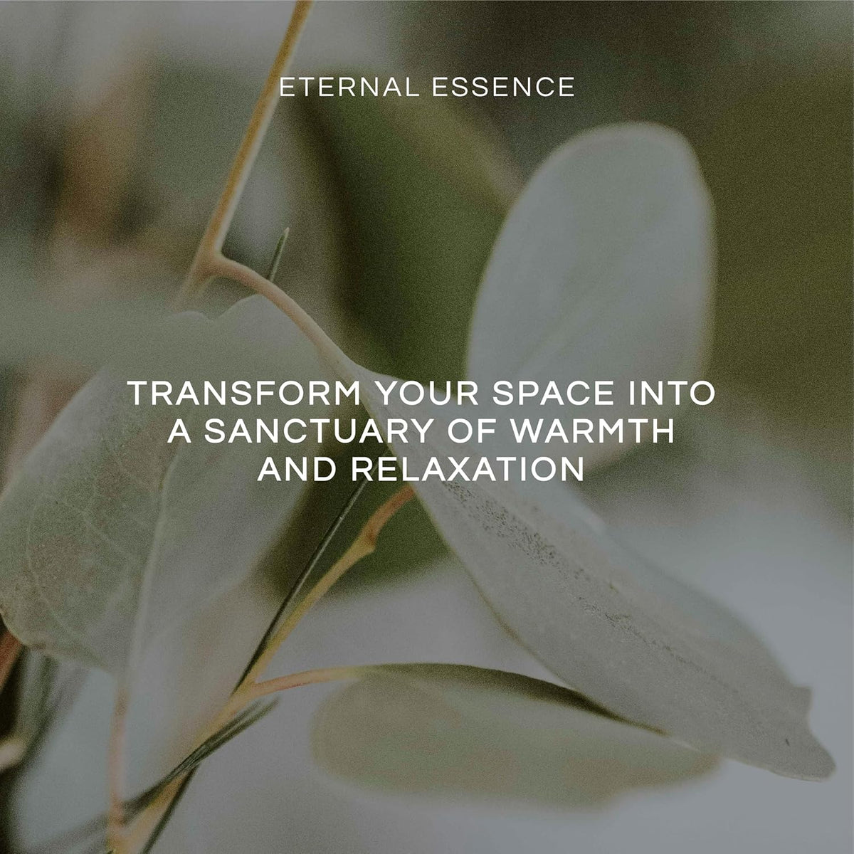 Eternal Essence Oils Tropical Fruit Set of 6 Premium Fragrance Oils - Includes Mango, Coconut
