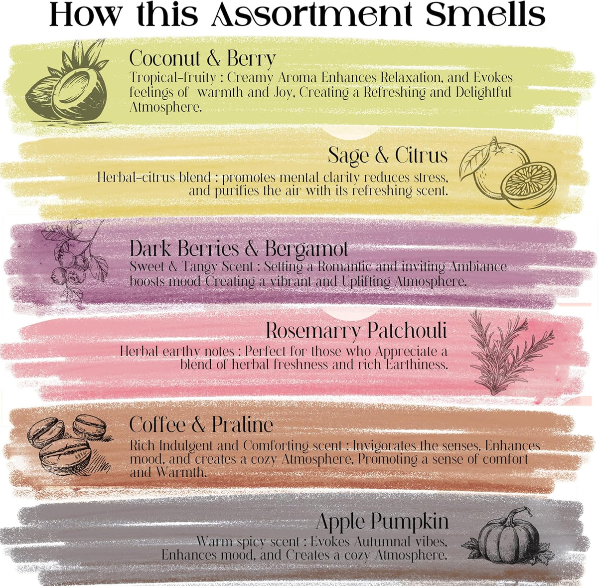 Raajsee Natural Incense Sticks with Insence Holder- Pack of 6 Organic Inscent -120 Insense Sticks